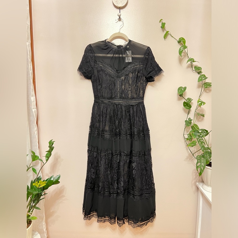 bohme Black Lace Midi Dress with Sheer Yoke